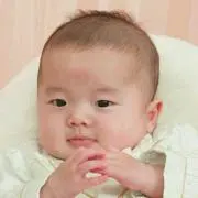 のりの画像