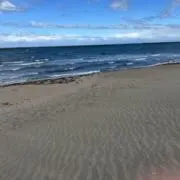 kankan
