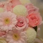 きてぃの画像