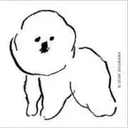 かるがもの画像