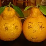 秋吉の画像