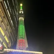 シロミとクロミの画像