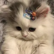 うに