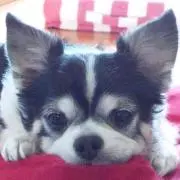 みぃ