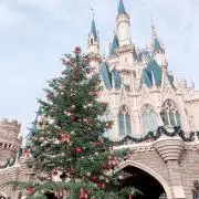 tomoの画像