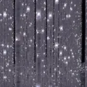 Riの画像