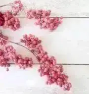 comugi*の画像