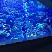 とぉちんの画像
