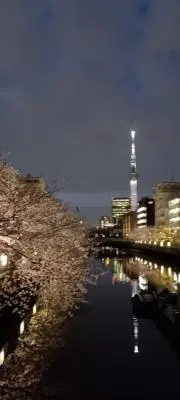 ななたんの画像