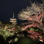 ユータロゥの画像