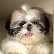 ❤️まりも❤️