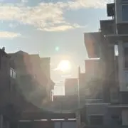 鍋島の画像