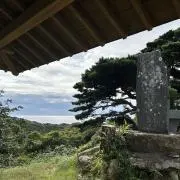 きなこの画像