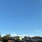 チーズケーキの画像