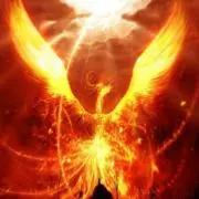 Phoenix Music Japanの画像