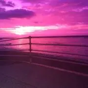 うにの画像