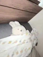 ケイ