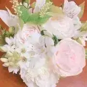 アポロ