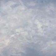 たくみの画像