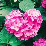 九州san(即購入ok、本日発送)の画像