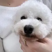 くろ
