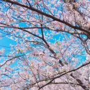ゆー