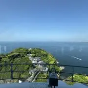 バヤラの画像