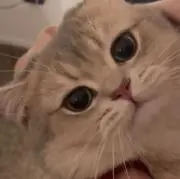 sohtaroの画像
