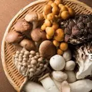きのこの画像