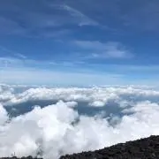 しましまの画像