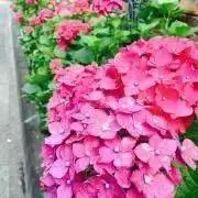 たす
