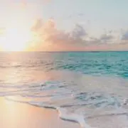 りりの画像
