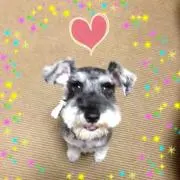 さっちん。