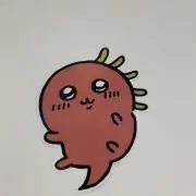 さきいかの画像