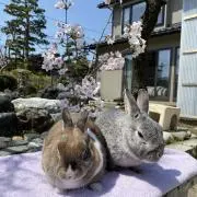 めぐみ((・x・))