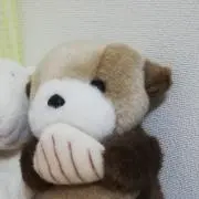さけちゃずけの画像