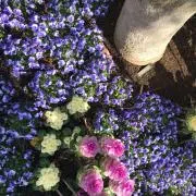 つきみ◎即日、翌日発送です◎♡の画像