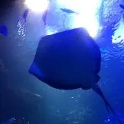 しのプロフ必読！激安♡