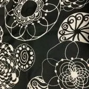 きょんの画像