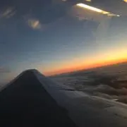 のの