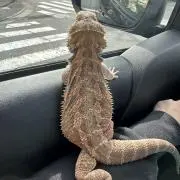Miiiii