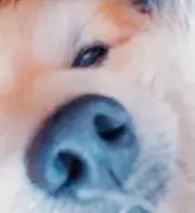 kusonemi※プロフ注目