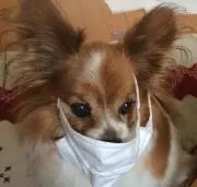 さっちゃんの画像