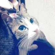 さすんこ