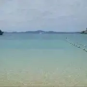 つぁとるの画像