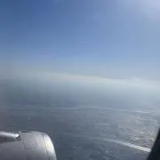 んやんぜの画像