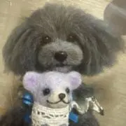 skyの画像