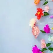 annyの画像