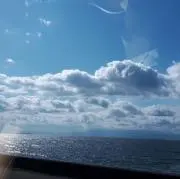 しんの画像
