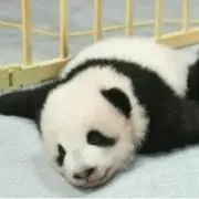 Image of ムーンベアー終活断捨離中